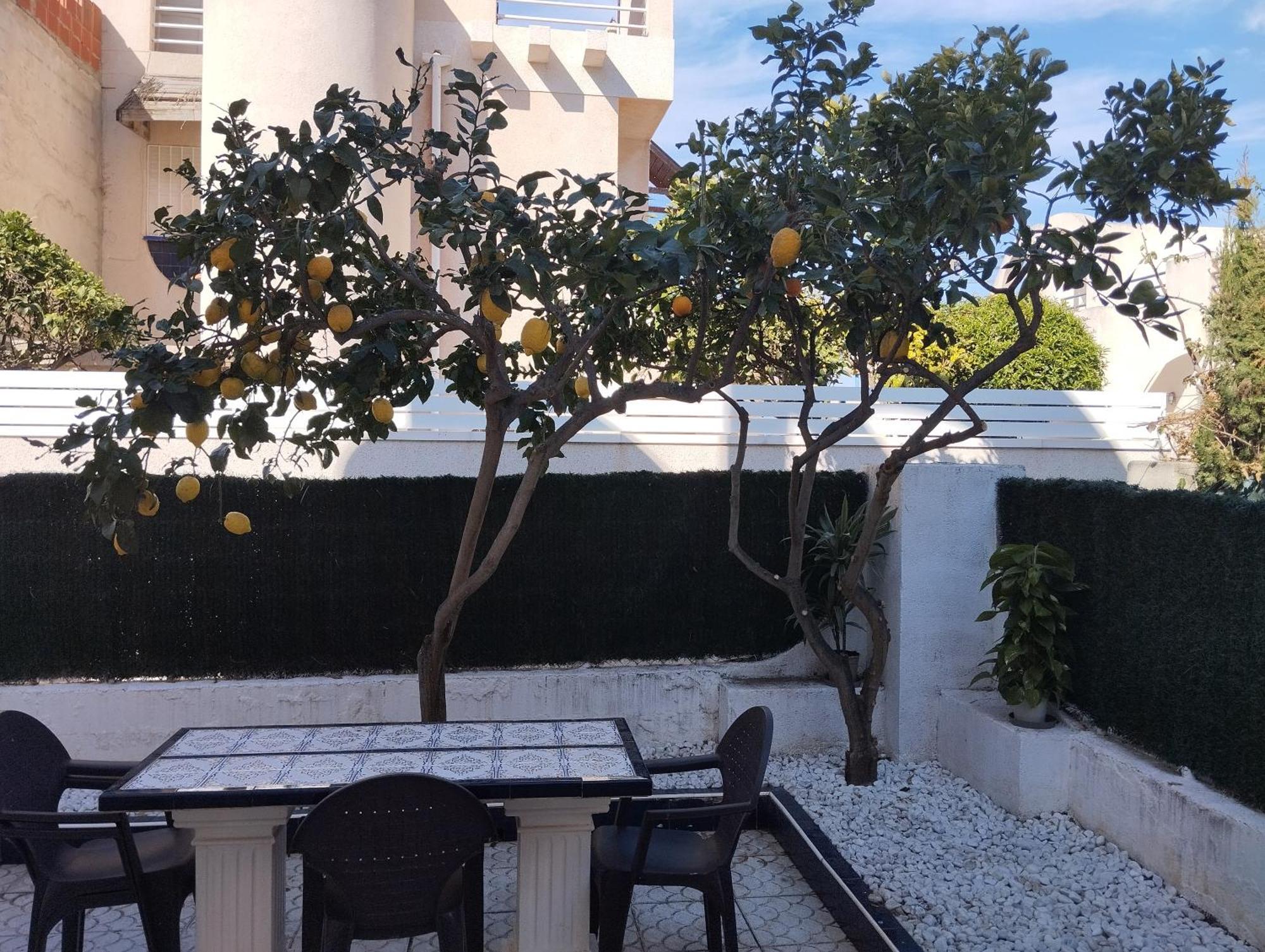 Z&R - Alcyone Villa Torrevieja Exterior photo